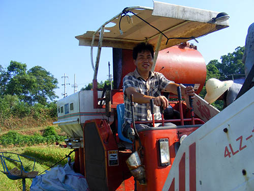 水(shuǐ)稻種植