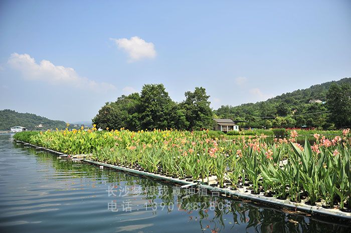 城(chéng)市(shì)水(shuǐ)上(shàng)景觀