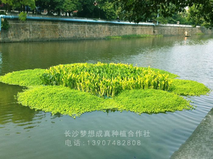 城(chéng)市(shì)水(shuǐ)上(shàng)景觀