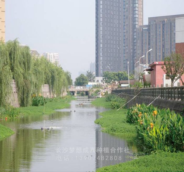 河道治理