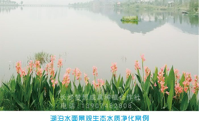 湖(hú)泊水(shuǐ)上(shàng)景觀